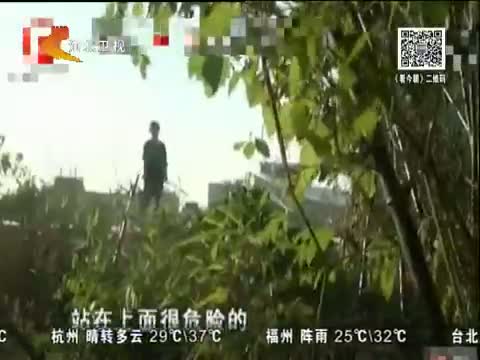 []ͨ-Ů¥_񾯷˾_20130816.jpg